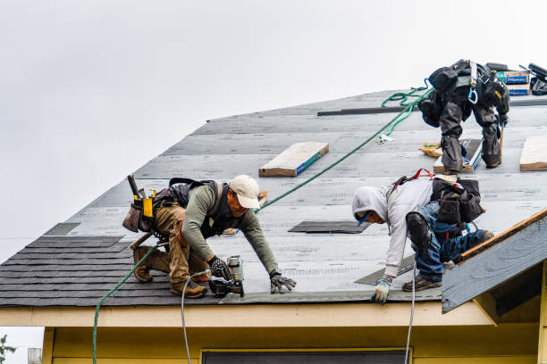 Professional Gutter Installation technician working in Hastings, MN